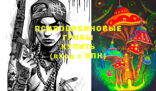 ПСИЛОЦИБИНОВЫЕ ГРИБЫ Усолье-Сибирское