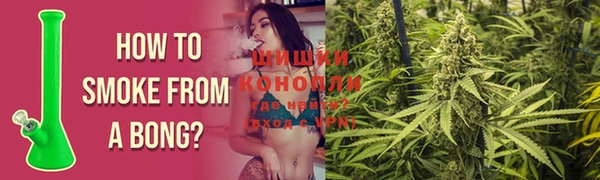 прущие грибы Горно-Алтайск